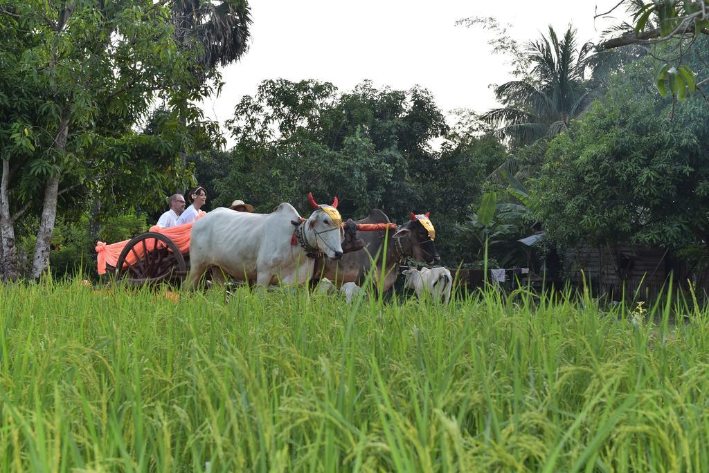 Angkor Rural Boutique Resort Siem Reap Exterior photo